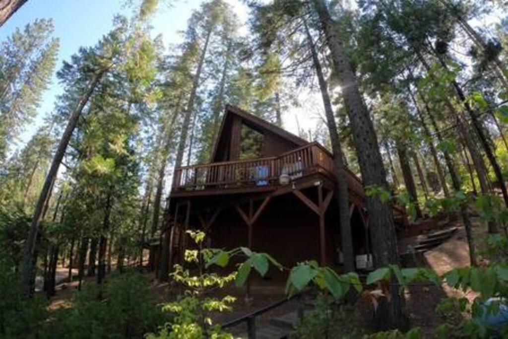 Pinecrest A-Frame Family Fun Near Dodge Ridge Villa Long Barn Exteriör bild